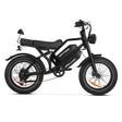 2025 NEW HappyRun G70 2000W Dual Battery Fast Electric Cargo Bike for Sale