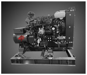 Wildcat FR0015D4 15kW Frontier 1ph Tier 4F Diesel Generator