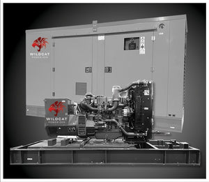 Wildcat Power Gen 30kW Roughneck Liquid Cooled Emergency Diesel Generator RO0030
