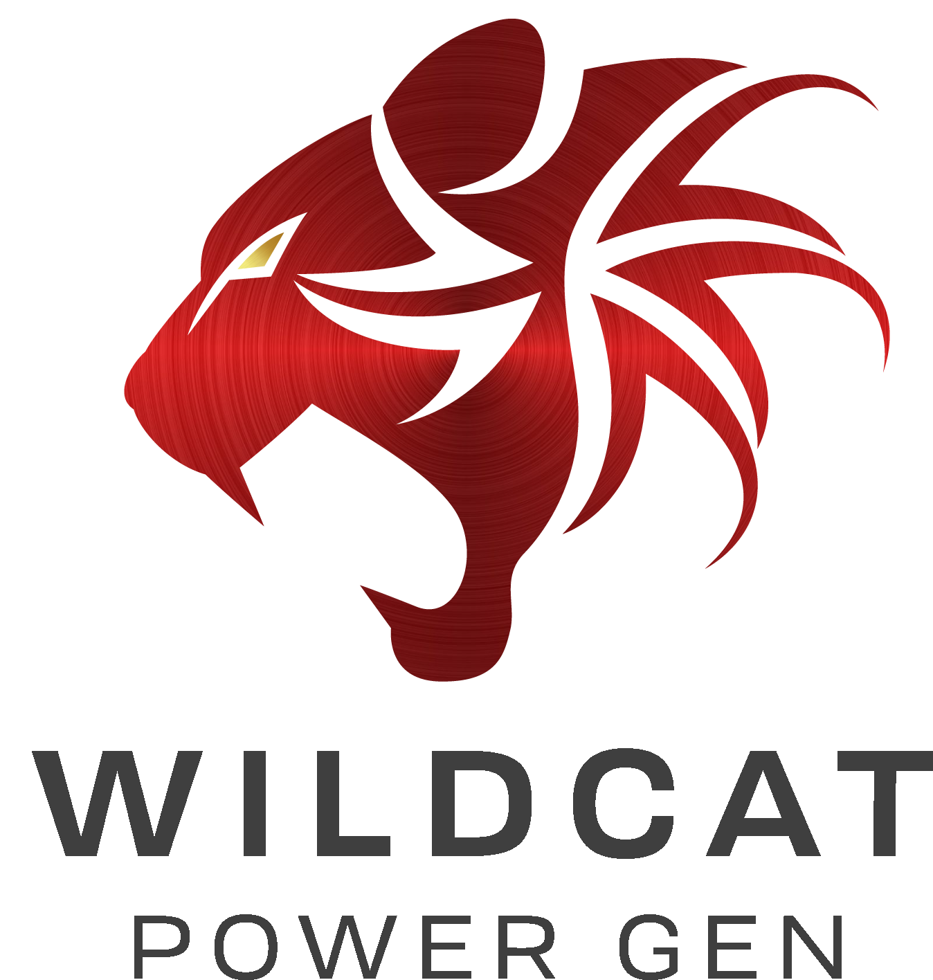 Wildcat Power Gen
