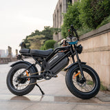 2025 NEW HappyRun G70 2000W Dual Battery Fast Electric Cargo Bike for Sale