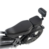 2025 NEW HappyRun G70 2000W Dual Battery Fast Electric Cargo Bike for Sale