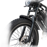 2025 NEW HappyRun G70 2000W Dual Battery Fast Electric Cargo Bike for Sale