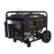 Portable Generators 